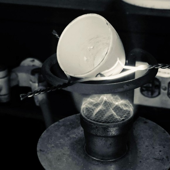 Meet your Posher, Rowan - Picture 1 of 1